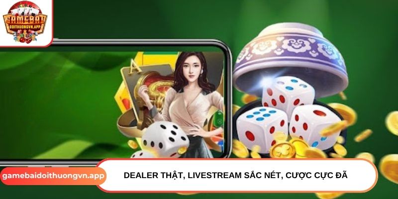 Dealer thật, livestream sắc nét, cược cực đã
