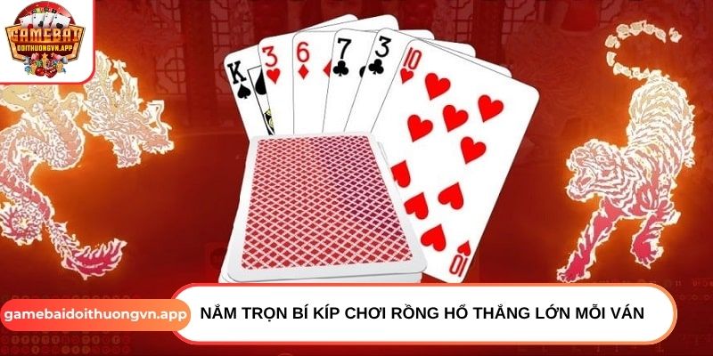 Nắm trọn bí kíp chơi Rồng Hổ thắng lớn mỗi ván Nắm trọn bí kíp chơi Rồng Hổ thắng lớn mỗi ván