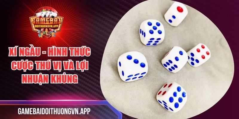 Xí Ngầu - Hình Thức Cược Thú Vị Và Lợi Nhuận Khủng